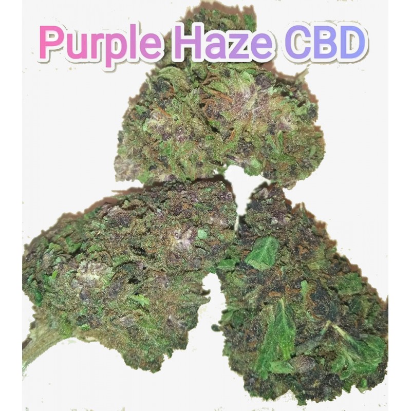 Purple Haze