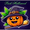 Pack Halloweed