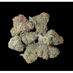 Small Tropical Haze hydro