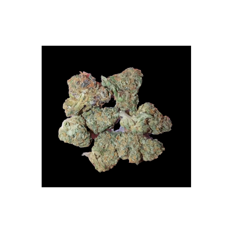 Small Tropical Haze hydro