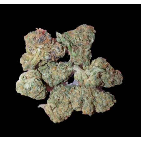 Small Tropical Haze hydro