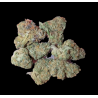 Small Tropical Haze hydro