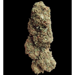 Candy Melon AL