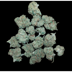 Small berry AL 10G
