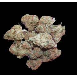 Small Cupcake hydro 10+1g