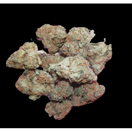 Small Cupcake hydro 10+1g