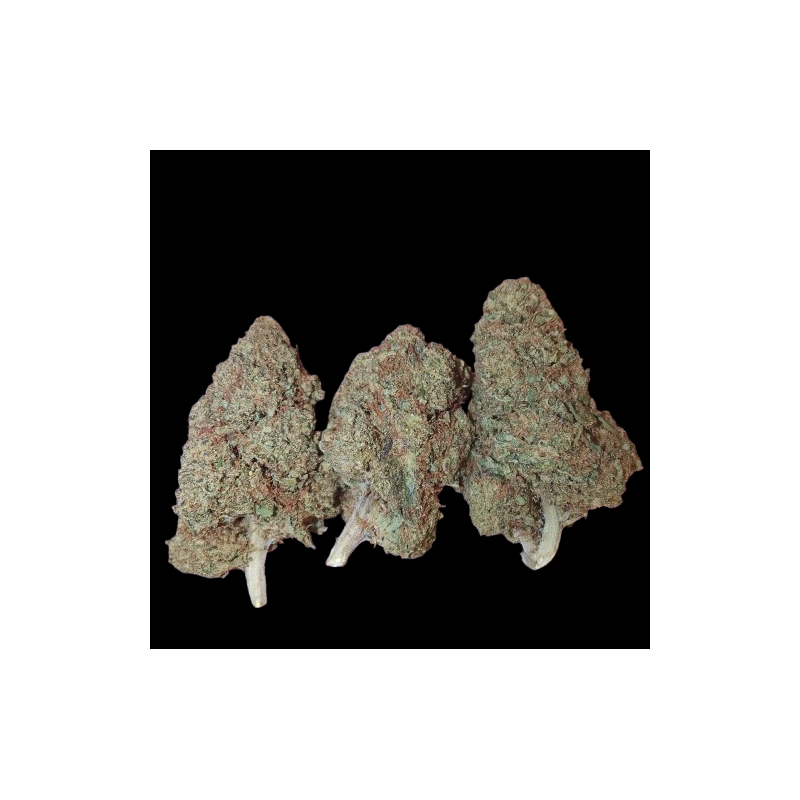 Juicy OG Indoor
