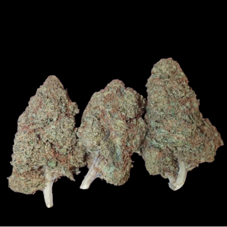 Juicy OG Indoor