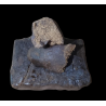 Hash H10 20%