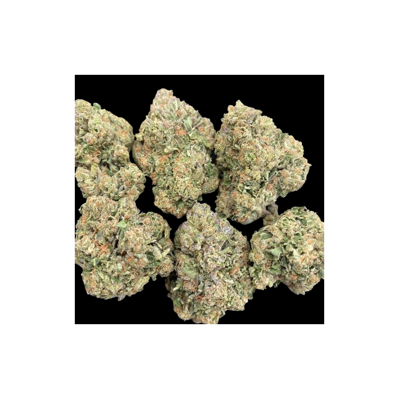 Amnesia Haze hydroponique