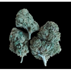 Cannatonic