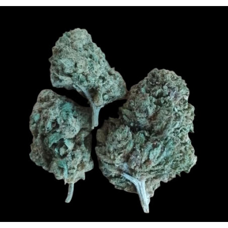 Cannatonic