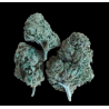 Cannatonic