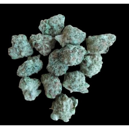 Small Malabar x Zoap hydroponique