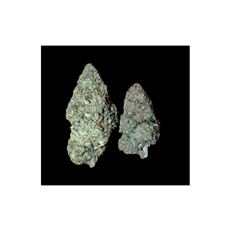 Lemon Cherry Gelato Indoor