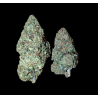 Lemon Cherry Gelato Indoor