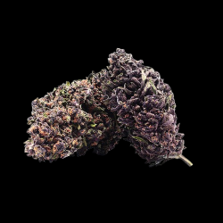 Purple Haze AL