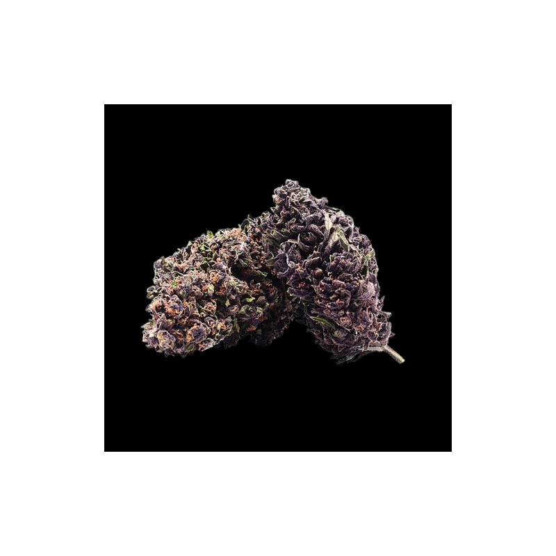 Purple Haze AL