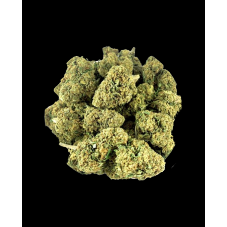 Skywalker hydroponique