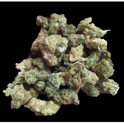 Small Rainbow X Hydro