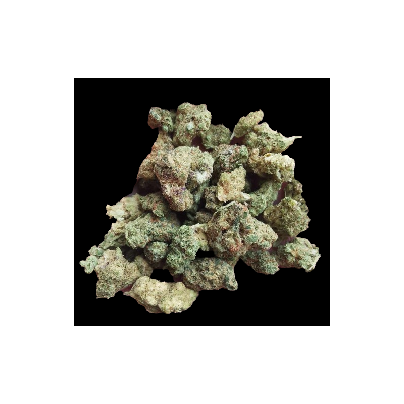 Small Rainbow X Hydro