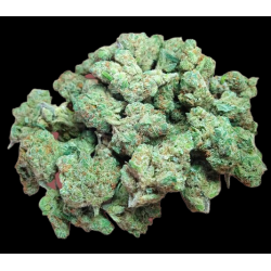 Medium Amnésia Hydro