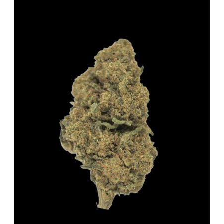 Pineapple Express AL
