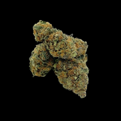 Medium Berry Haze Hydro