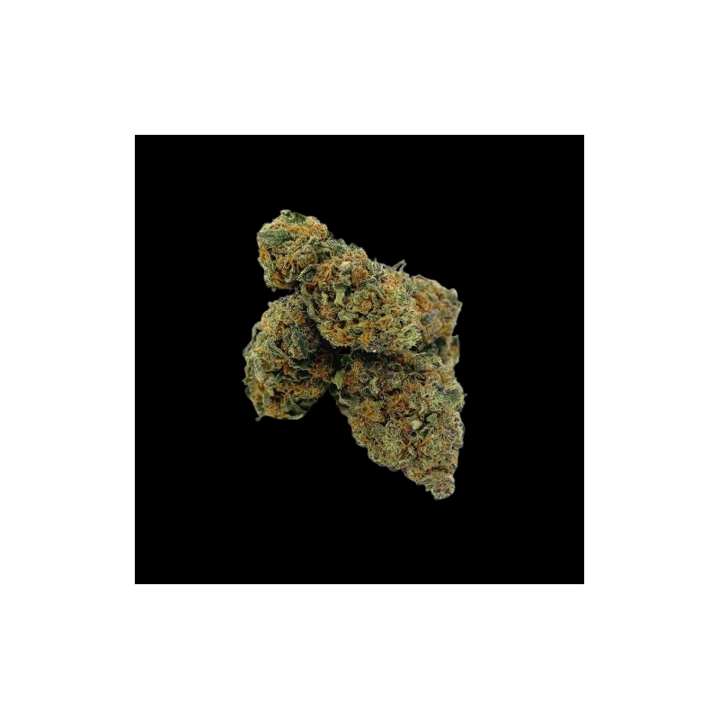 Medium Berry Haze Hydro