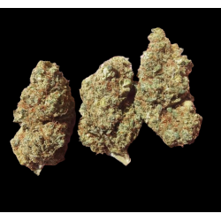 Super Lemon Indoor