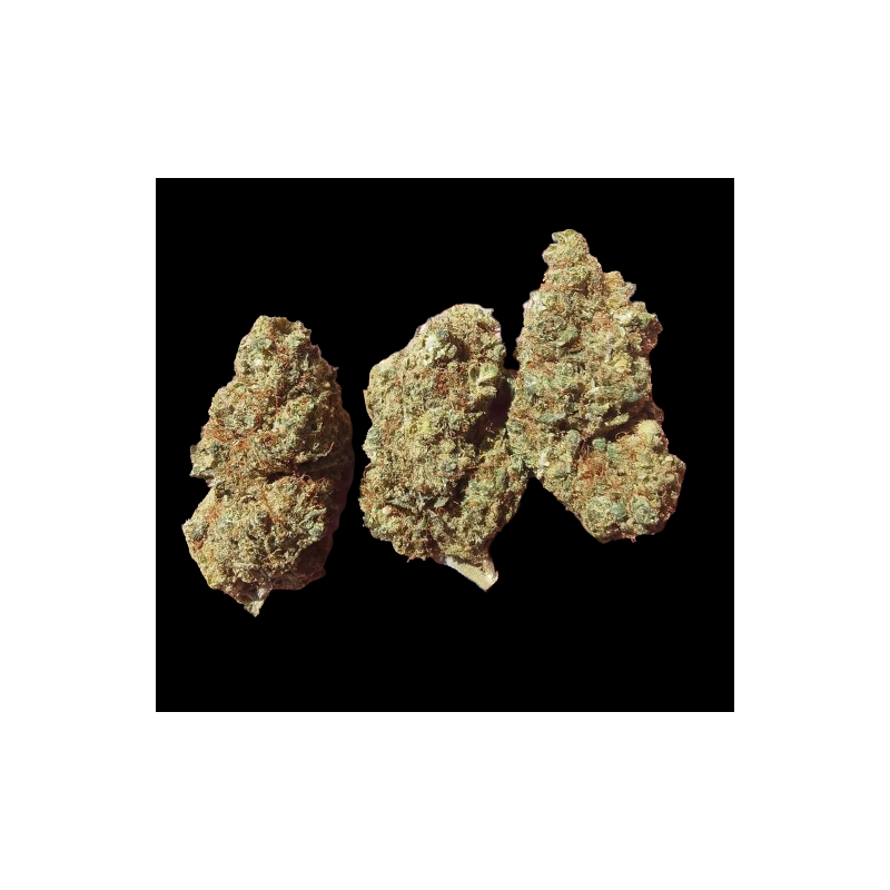 Super Lemon Indoor