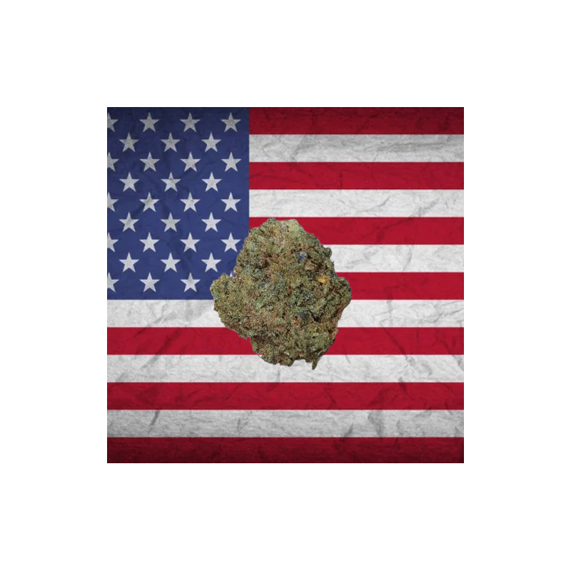Sour Chem hybride US