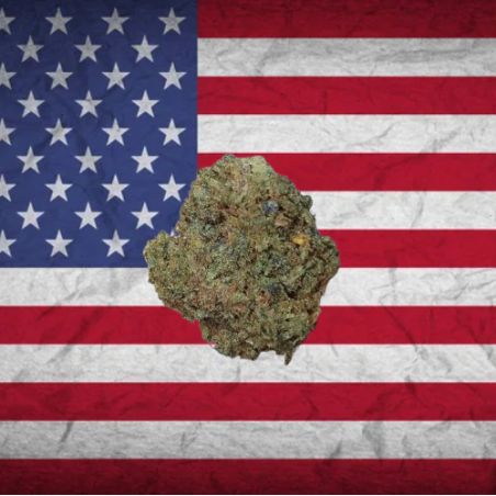 Sour Chem hybride US
