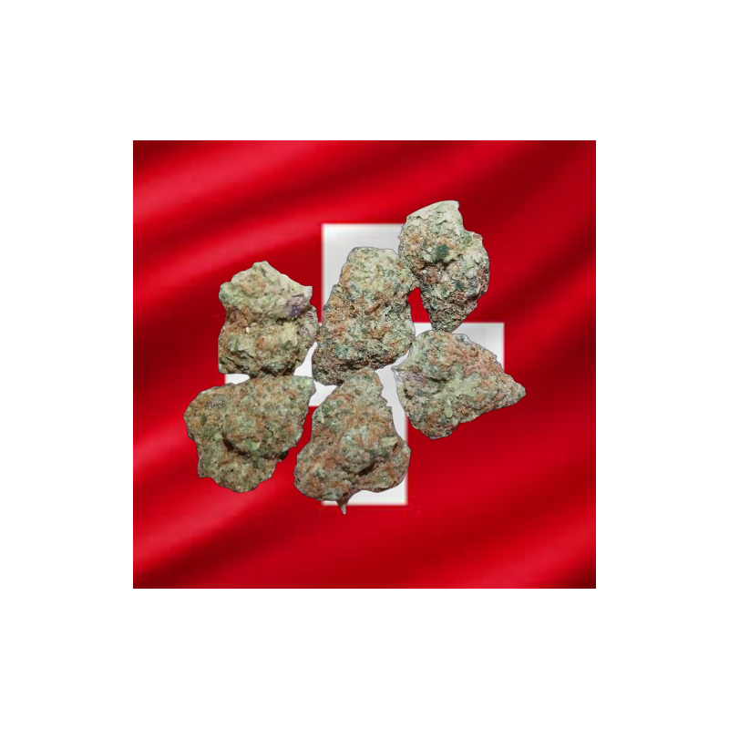 Medium Orange Bud hydro