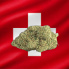 Dos Si Dos hydro