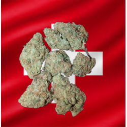 Wedding Cake hydro CBD