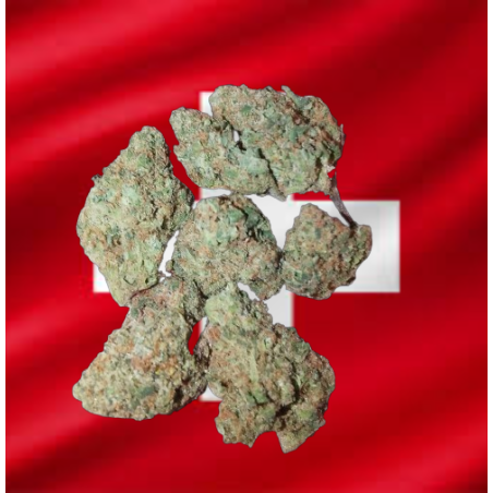Wedding Cake hydro CBD