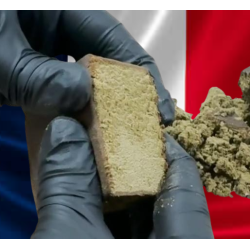 3 X filtré 30% CBD