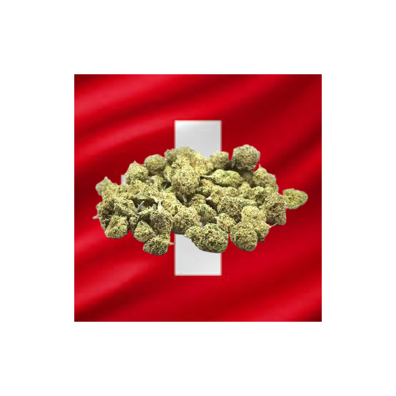 Small California Haze Hydro