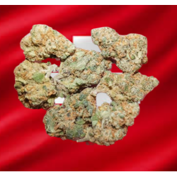 Medium Blueberry Cake hydro