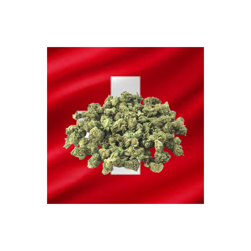 Small Gazolina Hydro