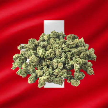 Small Gazolina Hydro