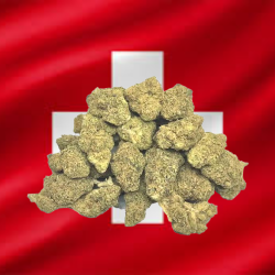 Small White Diesel Hydro