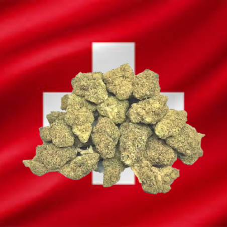 Small White Diesel Hydro