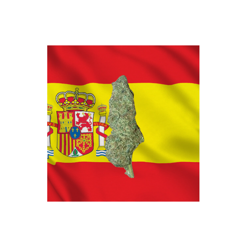 Platinium hydroponique