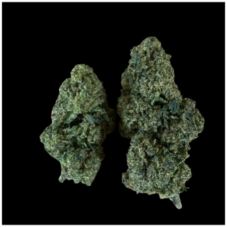 Cookie Cream H10 20%