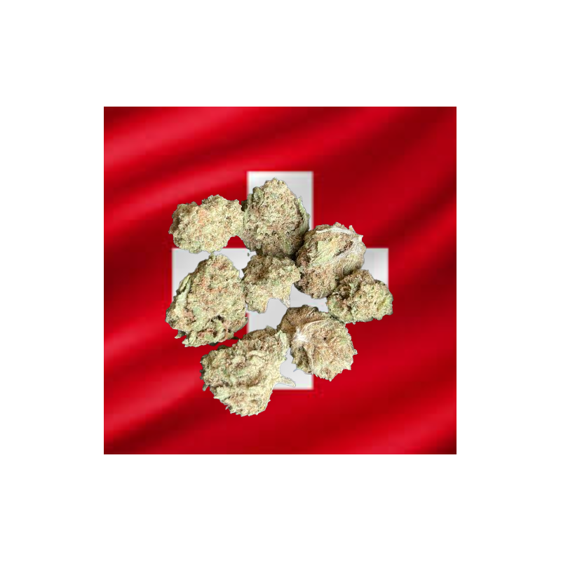 Small Candy Kush Indoor