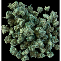 Small/Medium Cannatonic CBX...