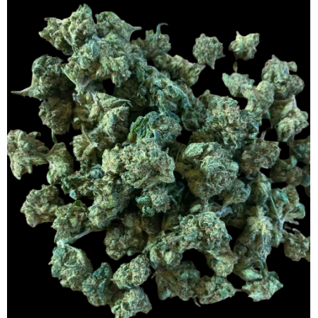 Small/Medium Cannatonic CBX 40%