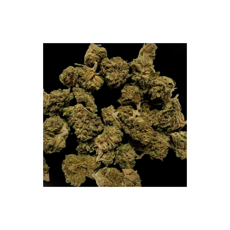 Small/Medium Harley CBX 40%